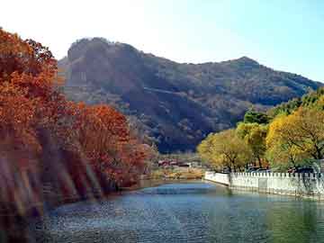 澳门天天免费精准大全，同骨山